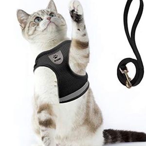 Brand New Supet Cat Small Animal Harness and Leash for Walking Set